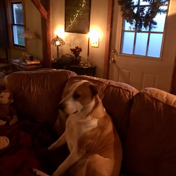 Meet your Posher, Mindy. - Picture 3 of 10